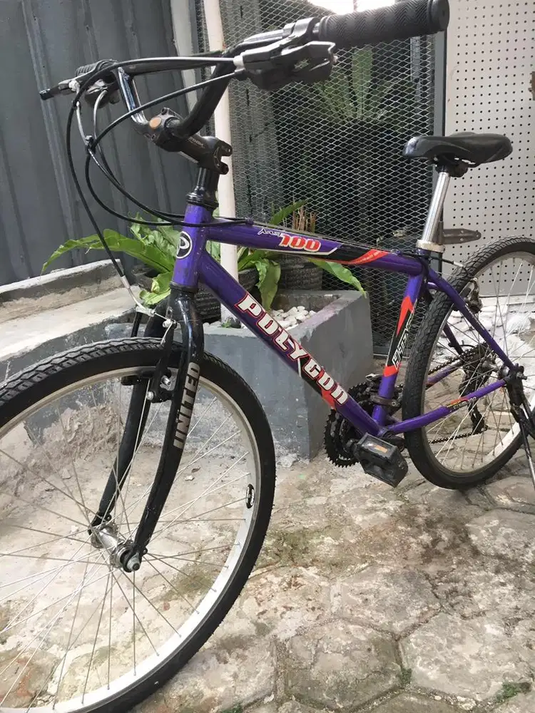 Sepeda Polygon MT100 original