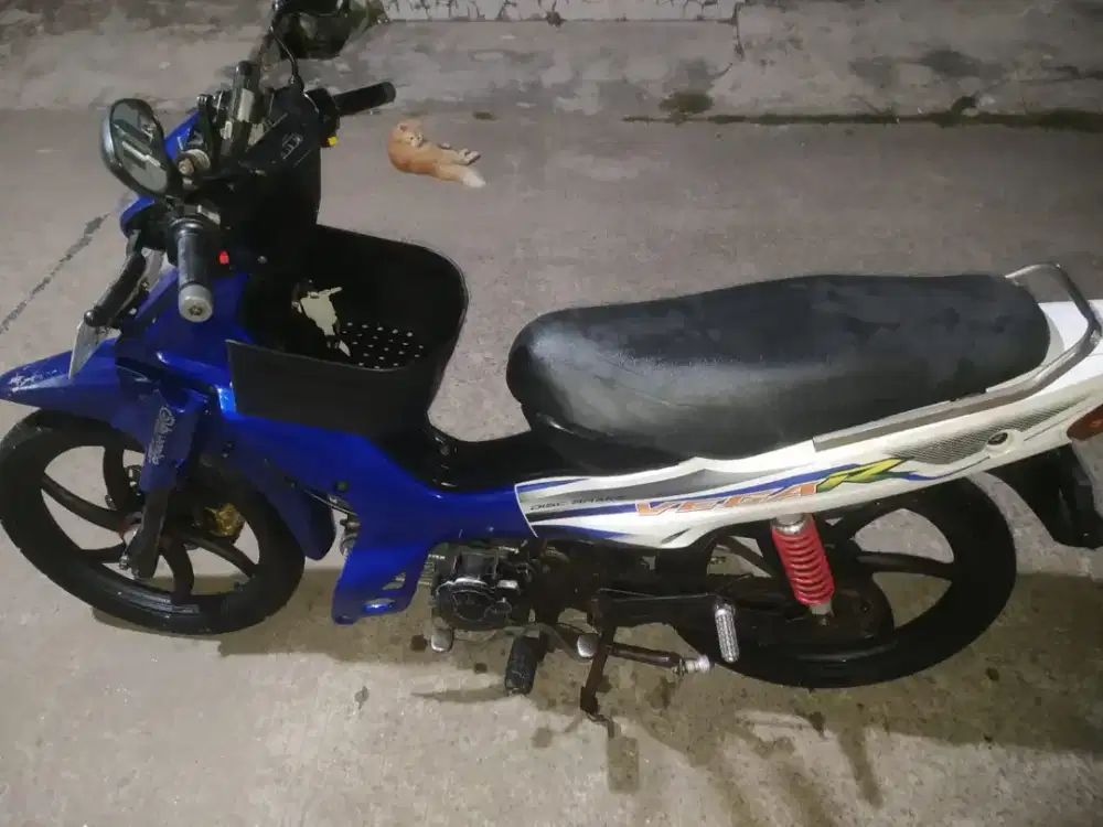 Dijua saja restorasinya ga dilanjutin karena kepeped bu .