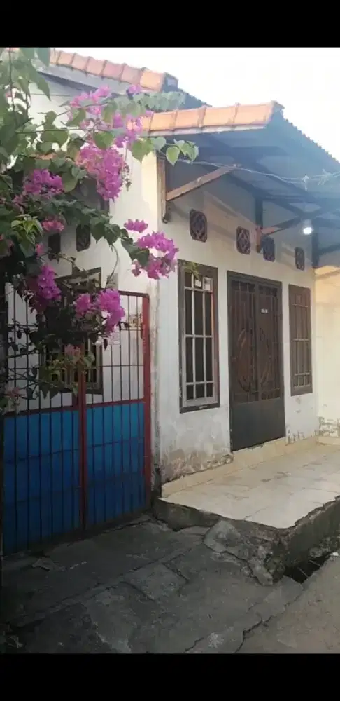 Diseawakan rumahan