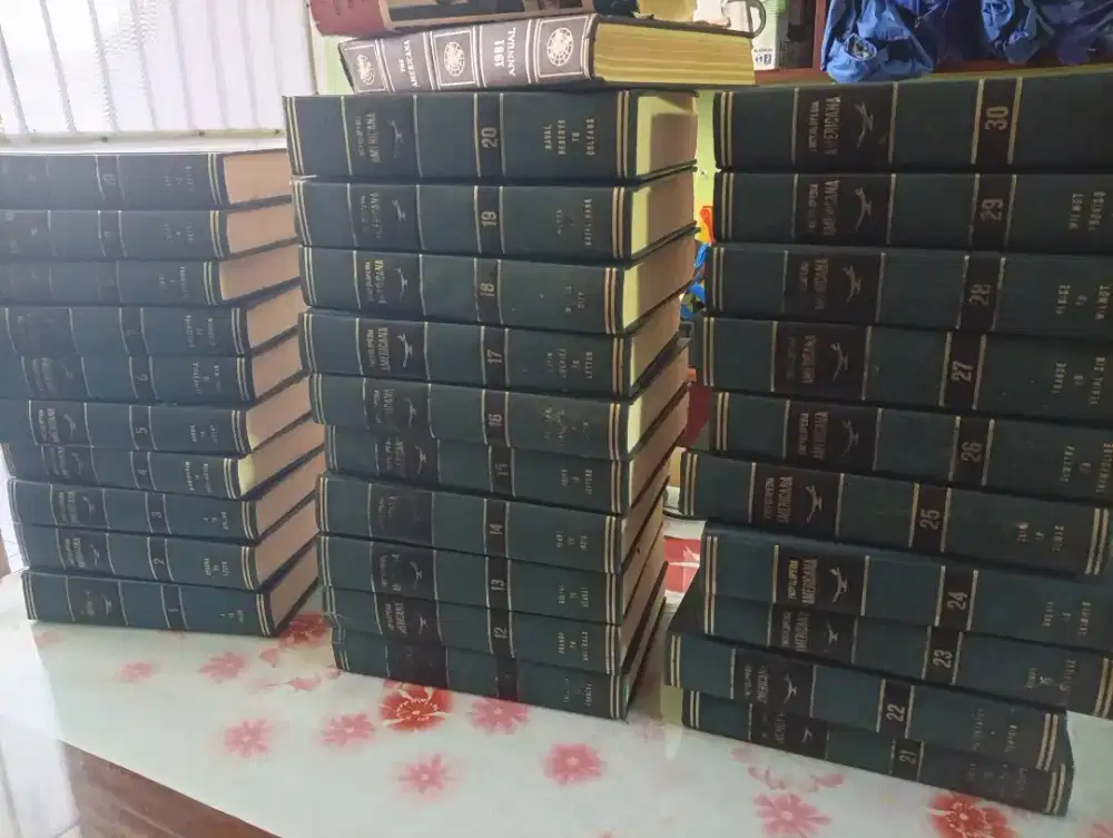 Buku ensikopedia amerikana
