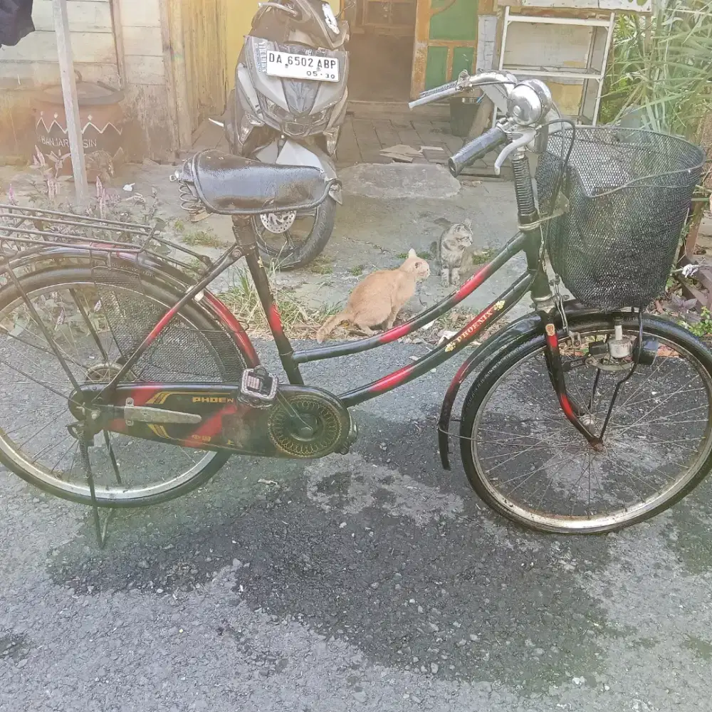 Sepeda kranjang