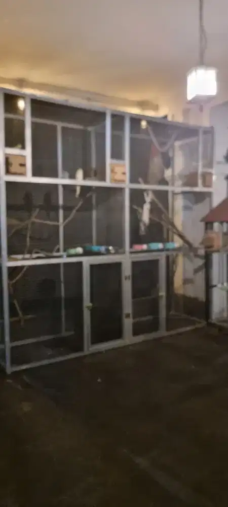 Dijual kandang koloni burung