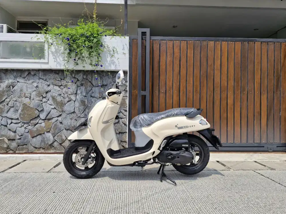 DP HANYA 999K AJA⁉️HONDA SCOOPY FASHION TH 2026