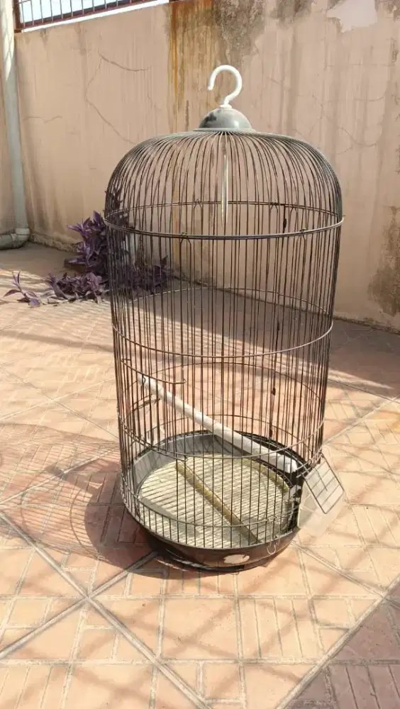 Kandang Burung Lovebird Bird Murai