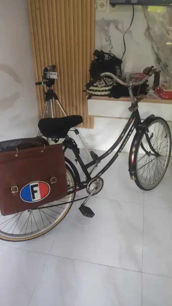 Commuter bike classic ring 26 velk araya japan