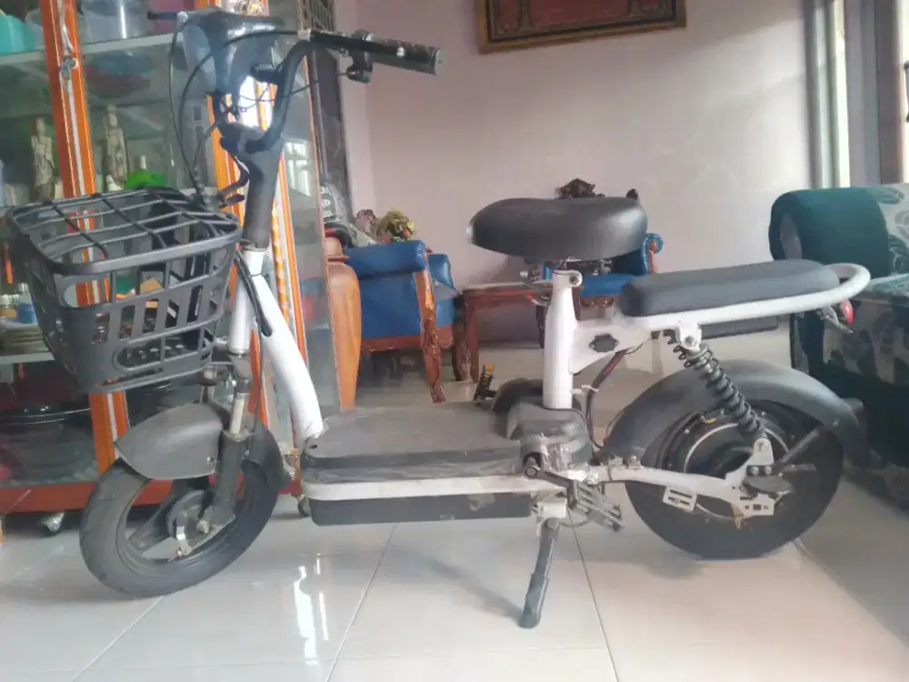 Sepeda Listrik Dewasa