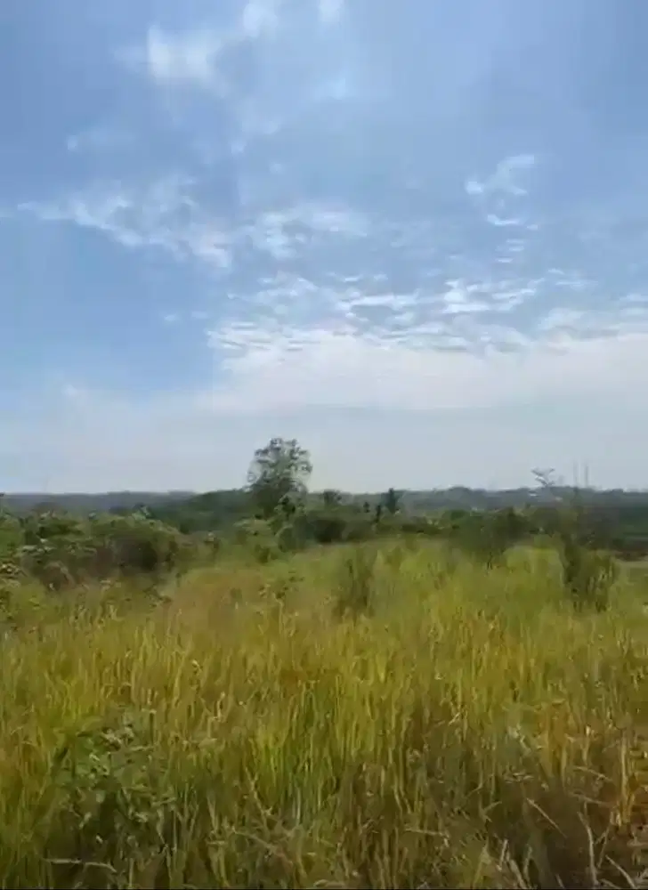 [DIJUAL] TANAH STRATEGIS 3,6 HEKTAR DEKAT WADUK KARIAN – CIUYAH,LEBAK