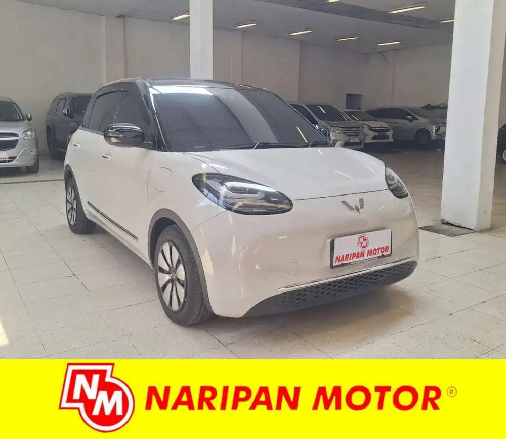 Wuling Binguo EV Premium Range 2024