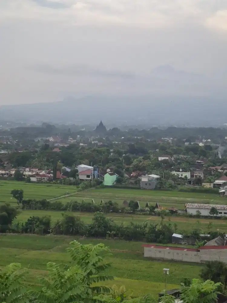 Dicari Art menginap