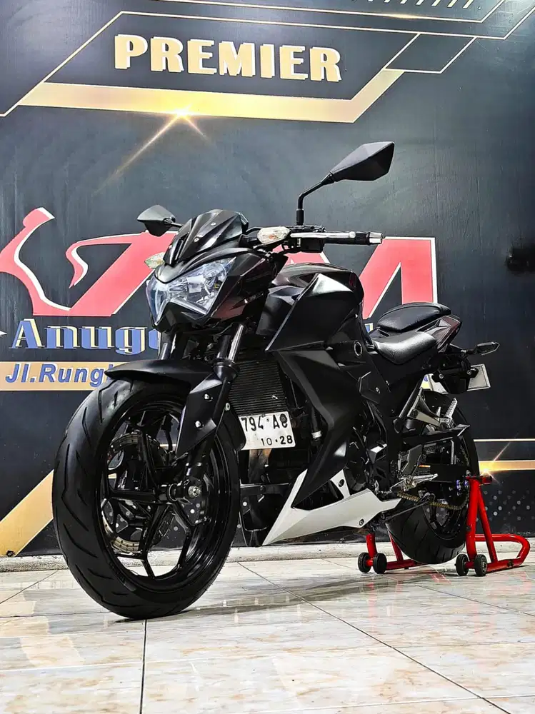 Kawasaki Ninja Z250 FI TH 2016 Naked fighter