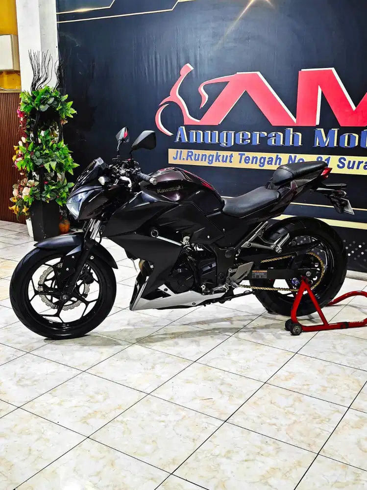 Kawasaki Ninja Z250 FI TH 2016 gas touring