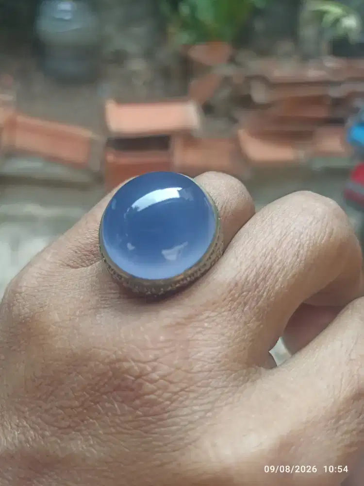 natural anggur biru langit batu radja HQ