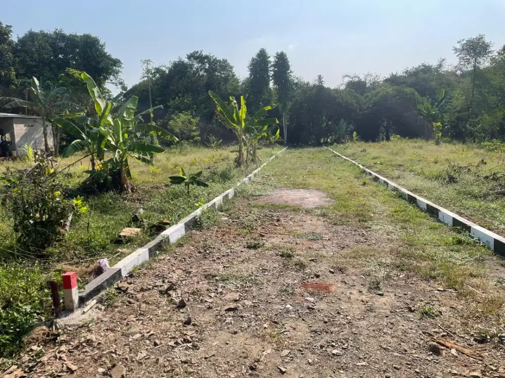 Miliki Tanah Kavling Setu Termurah - Dekat Tol Burangkeng - SHM Langsung Proses Balik Nama - Cocok Investasi/Hunian - Bebas Banjir