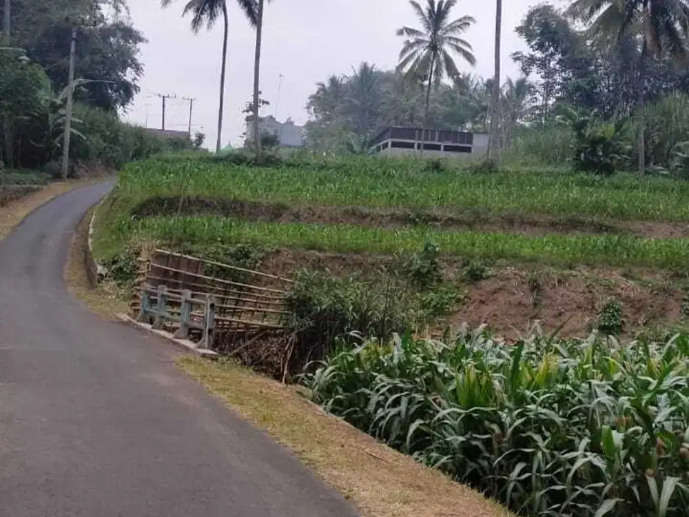 Tanah Poros Sukopuro Jabung Malang