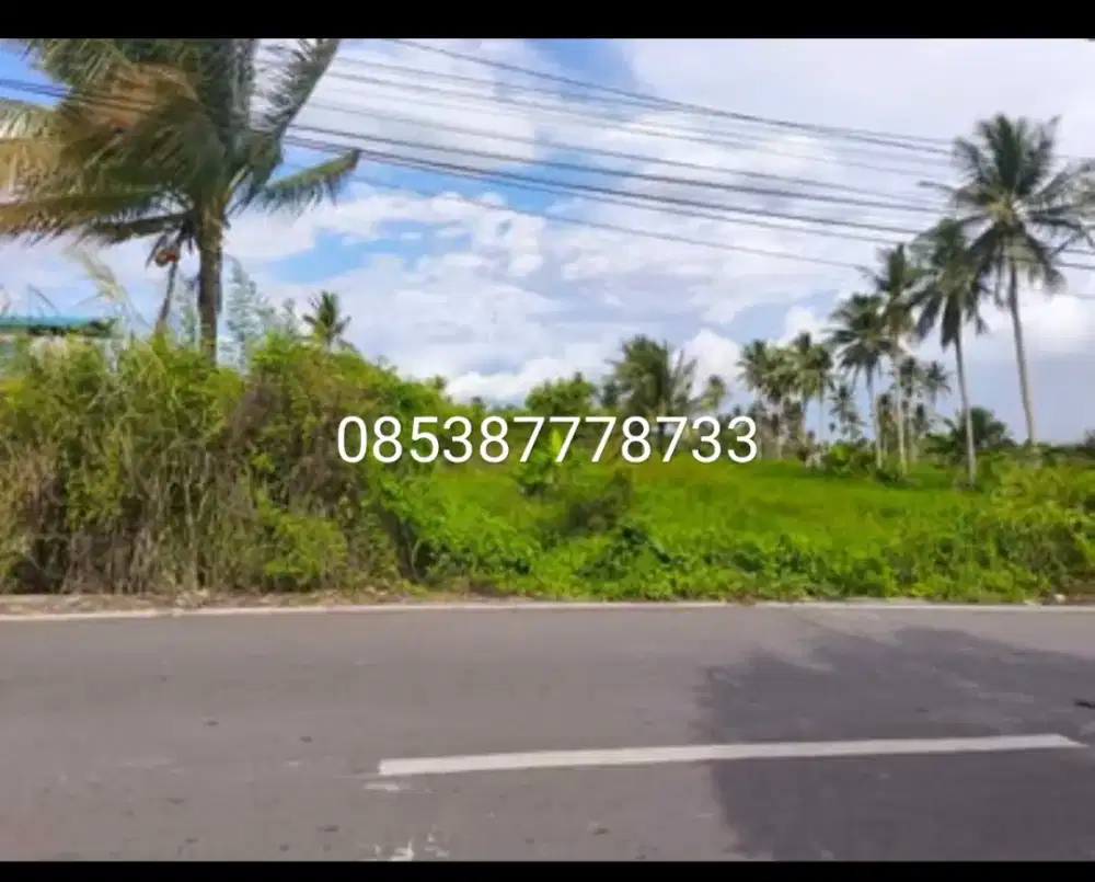 Jual tanah tanpa perantara di samping jalan