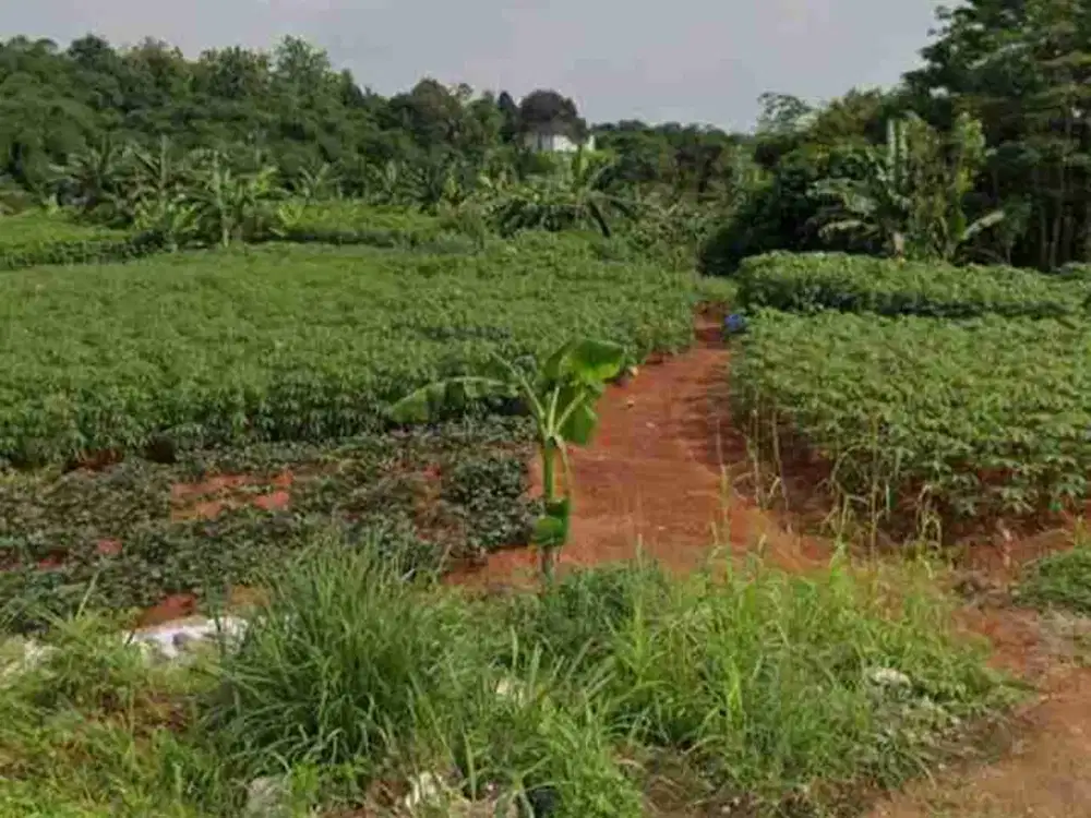 dijual cepat tanah kosong strategis di desa Curug gunung Sindur Bogor