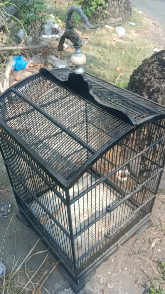Sangkar kosan uk 45 x 45