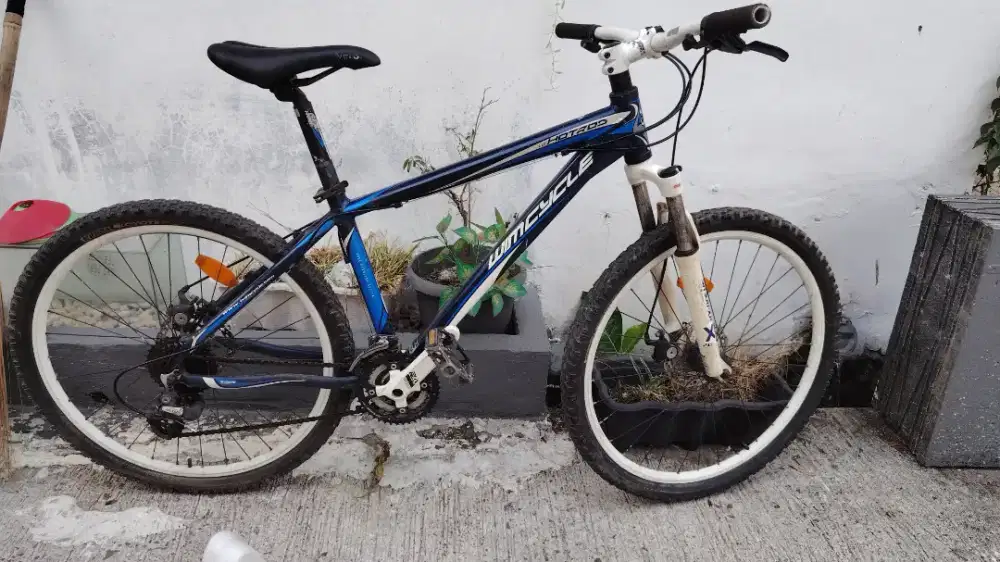 sepeda MTB wim cycle 26in