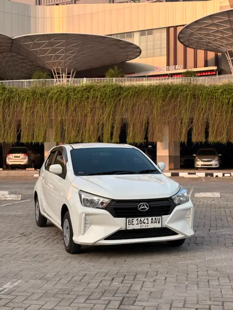 Ayla M 2024 manual