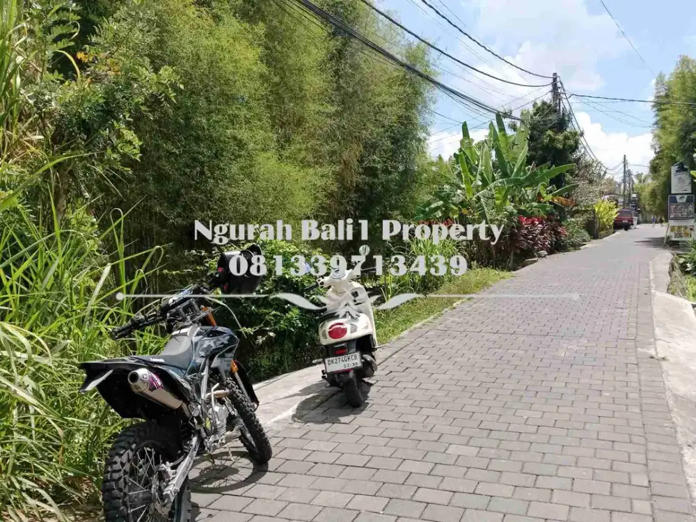 Tanah Dijual Murah Luas 10 Are Kawasan Villa di Petulu Ubud