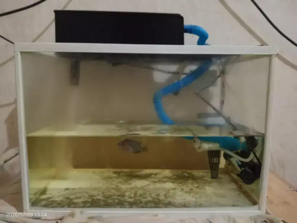 AQUARIUM BAHAN AKRILICK UK 40 25 25