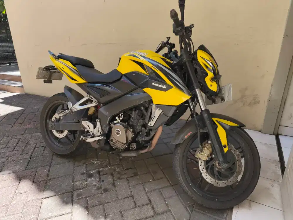 Kawasaki NS 200 (Bajaj Pulsar NS 200)