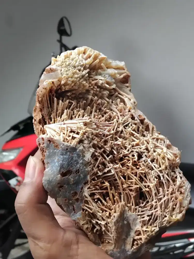 Koleksi Batu Unik langka