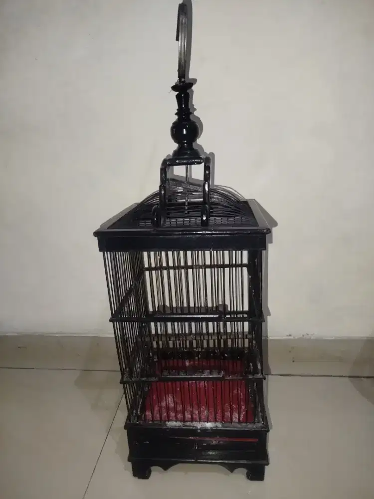 Kandang Pleci dan sogon