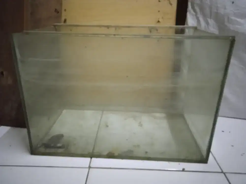 Aquarium Akuarium Ukuran 40x29cm