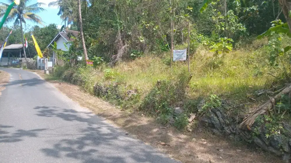 TANAH DIJUAL STRATEGIS PINGGIR JALAN ASPAL KAMPUNG