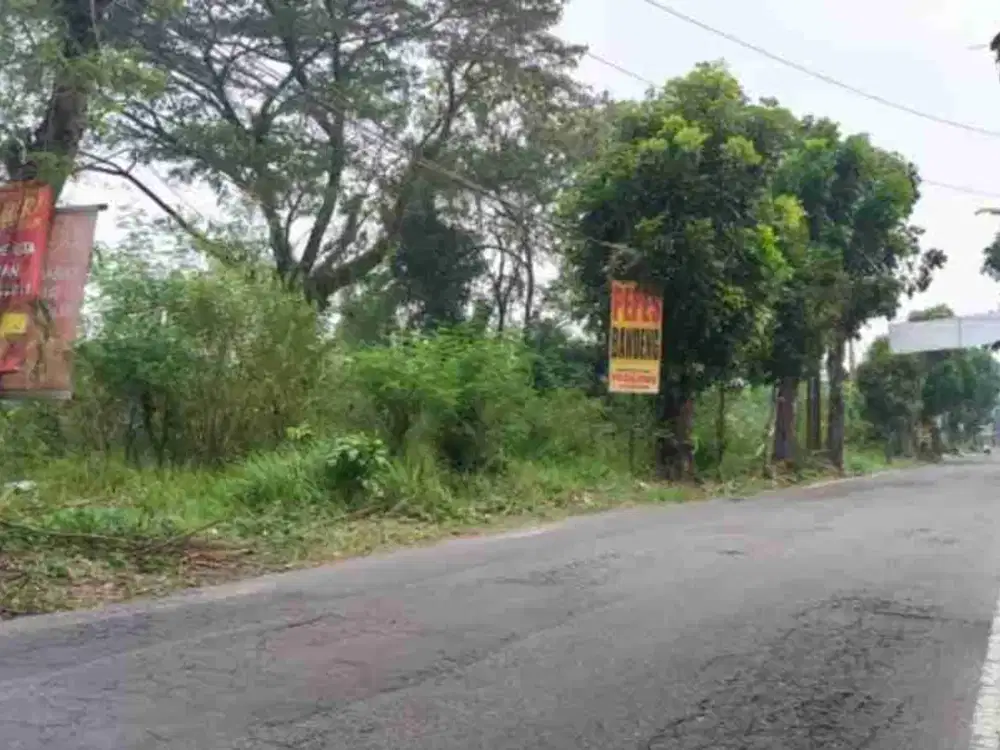 Tanah Prospektif Tepi Jalan Utama Area Gito Gati Palagan Dekat SCH Mall, JCM, HYATT