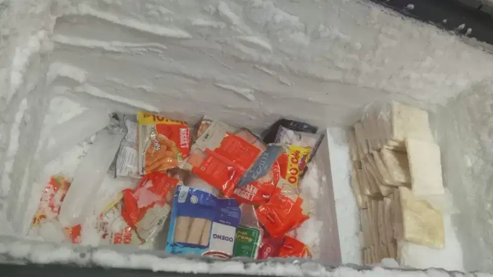 Freezer box merk gea