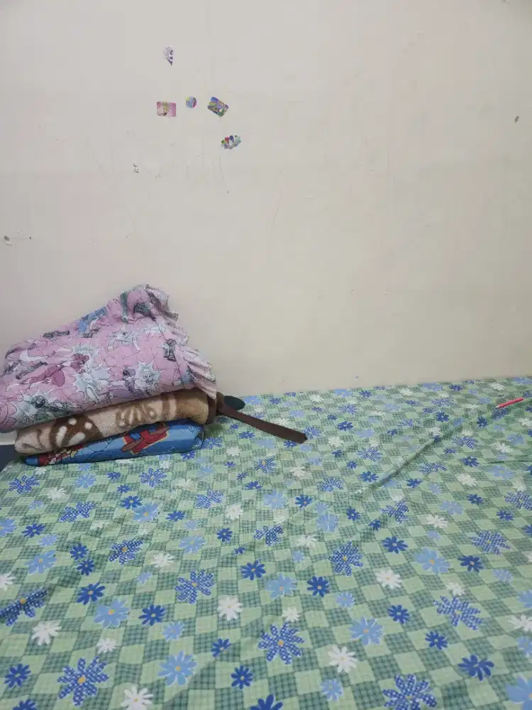Mencari art untuk pp