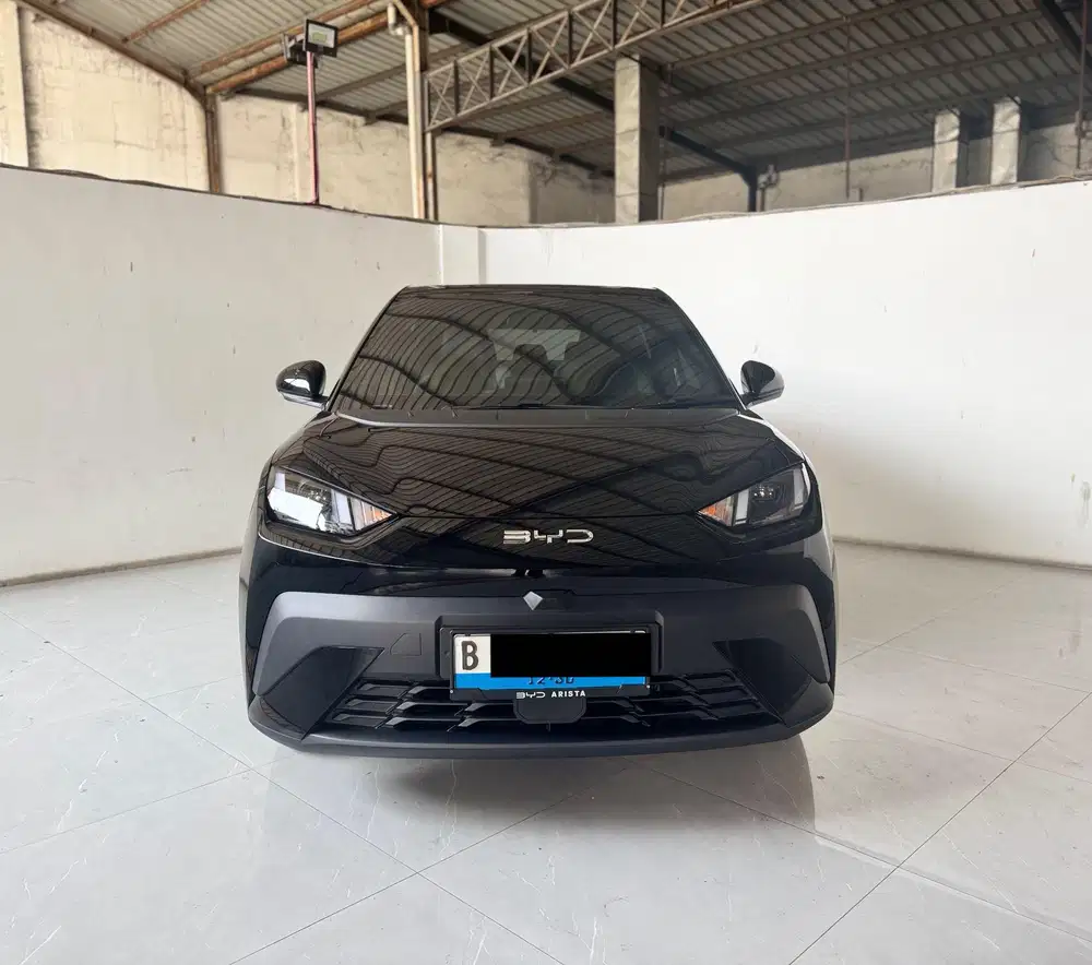 BYD ATTO 1 Dynamic EV At