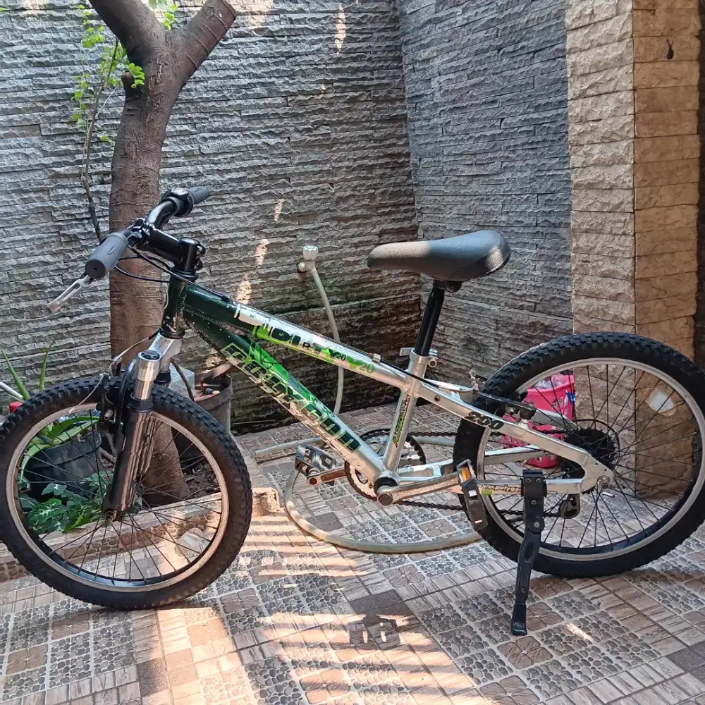 Sepeda polygon dirty 20 (aloy)