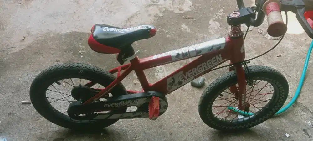 Sepeda anak evergreen ban 16 inc