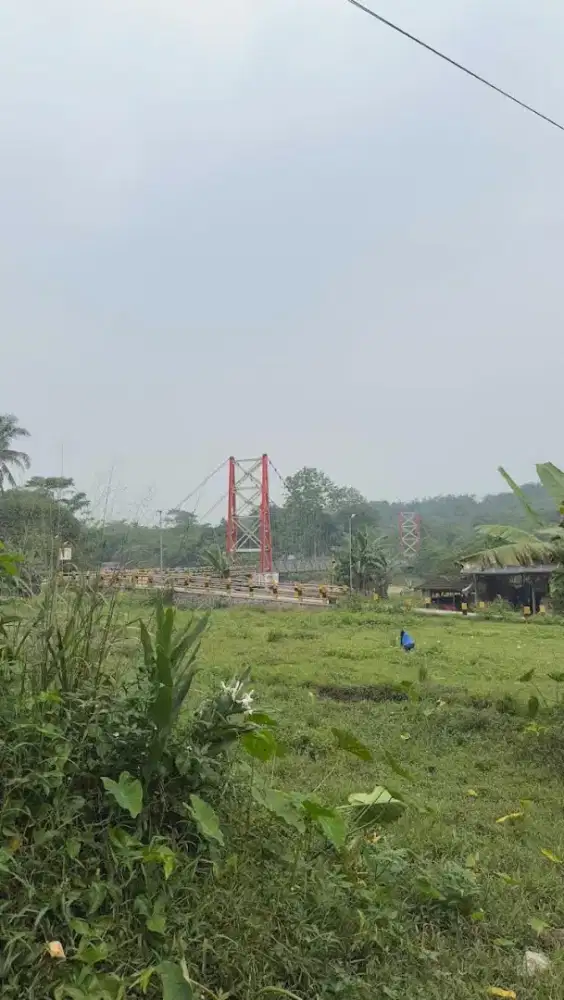 Dijual Segera Kavling Tanah Utrujah, Ciseeng, Kab Bogor