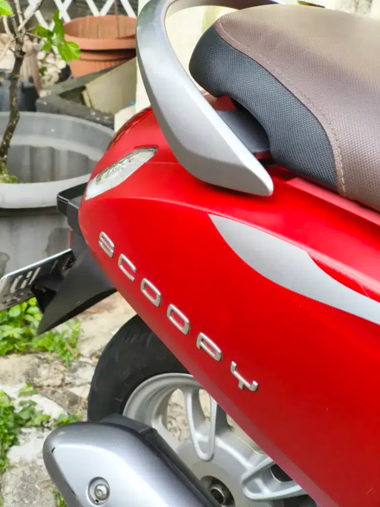 Scoopy Stylish 2022