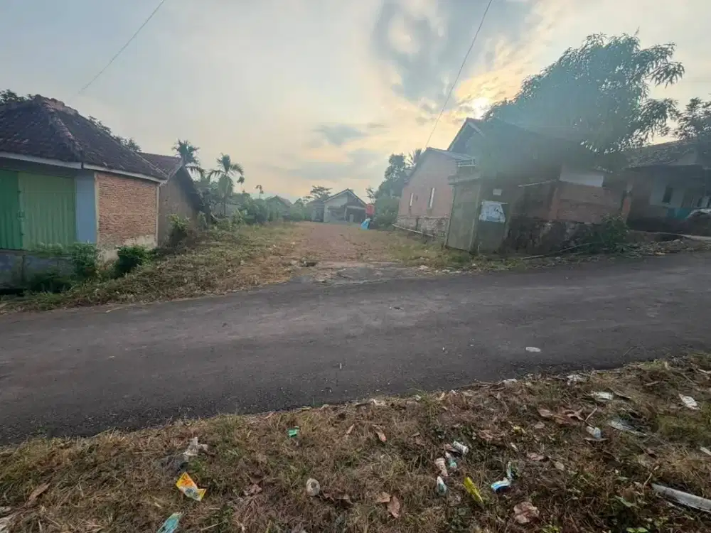 Tanah murah sukabumi lampung