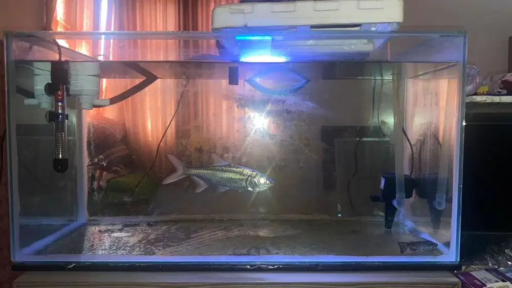 Akuarium 100cm + mesin filter 2 dan heater