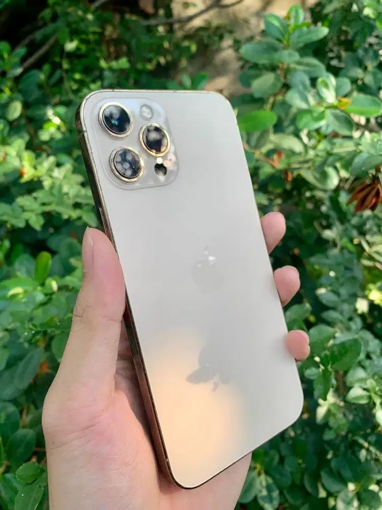 IPhone 12 Pro Max 256GB All operator