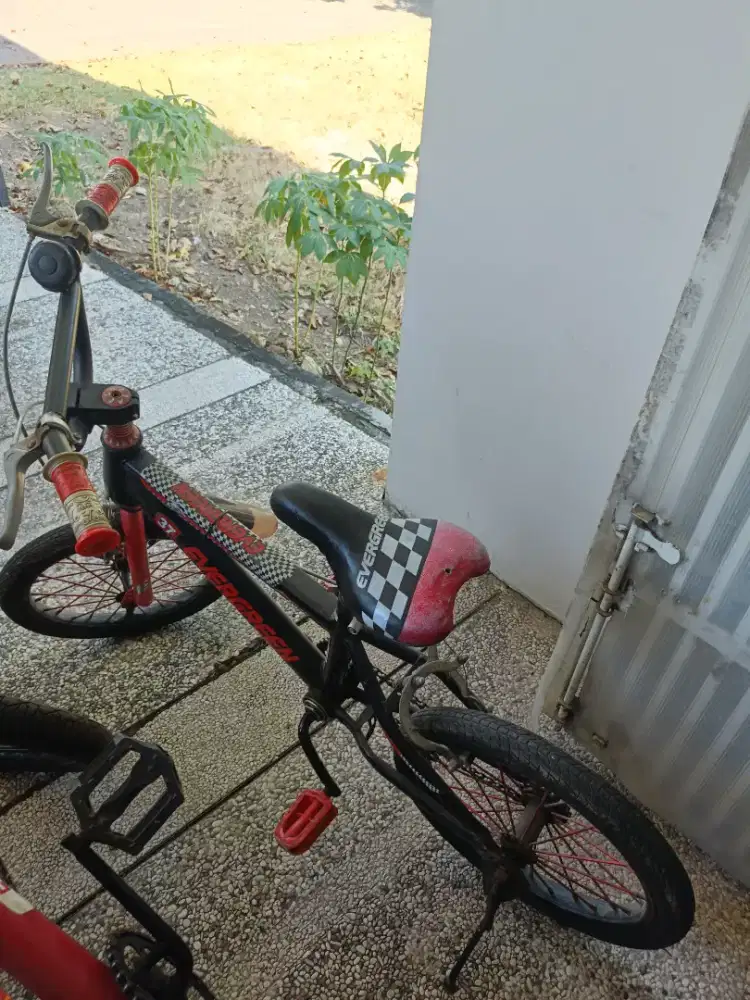 Sepeda Genio Anak