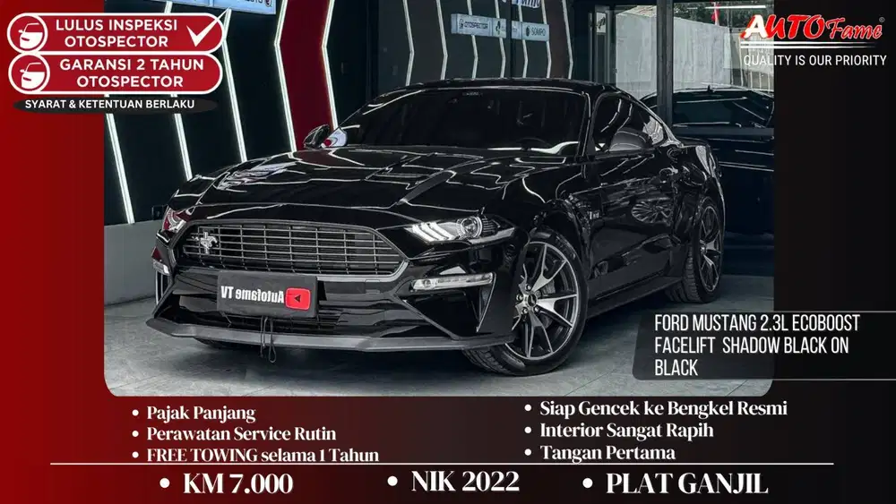 Ford Mustang 2.3L Ecoboost FACELIFT NIK 2022