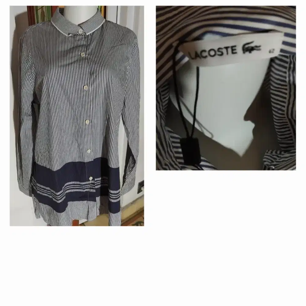 LACOSTE BLUS SPORTIF