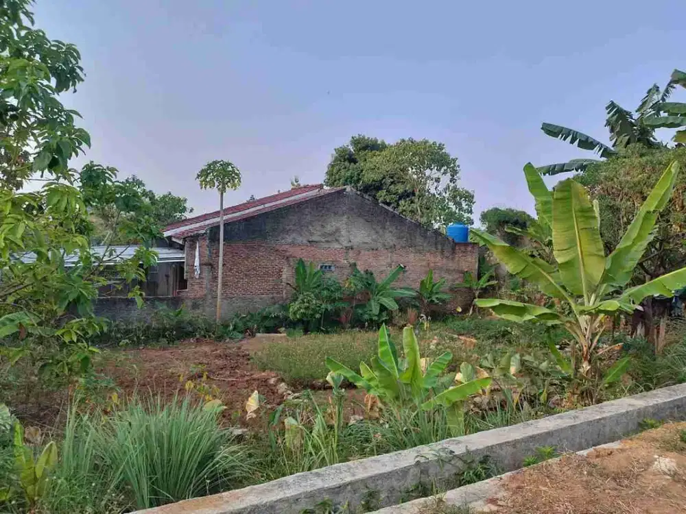 tanah bkp belakang citra mas