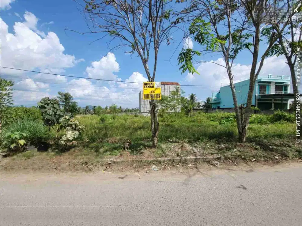 tanah 1807m pringsewu sidoharjo pinggir jalan