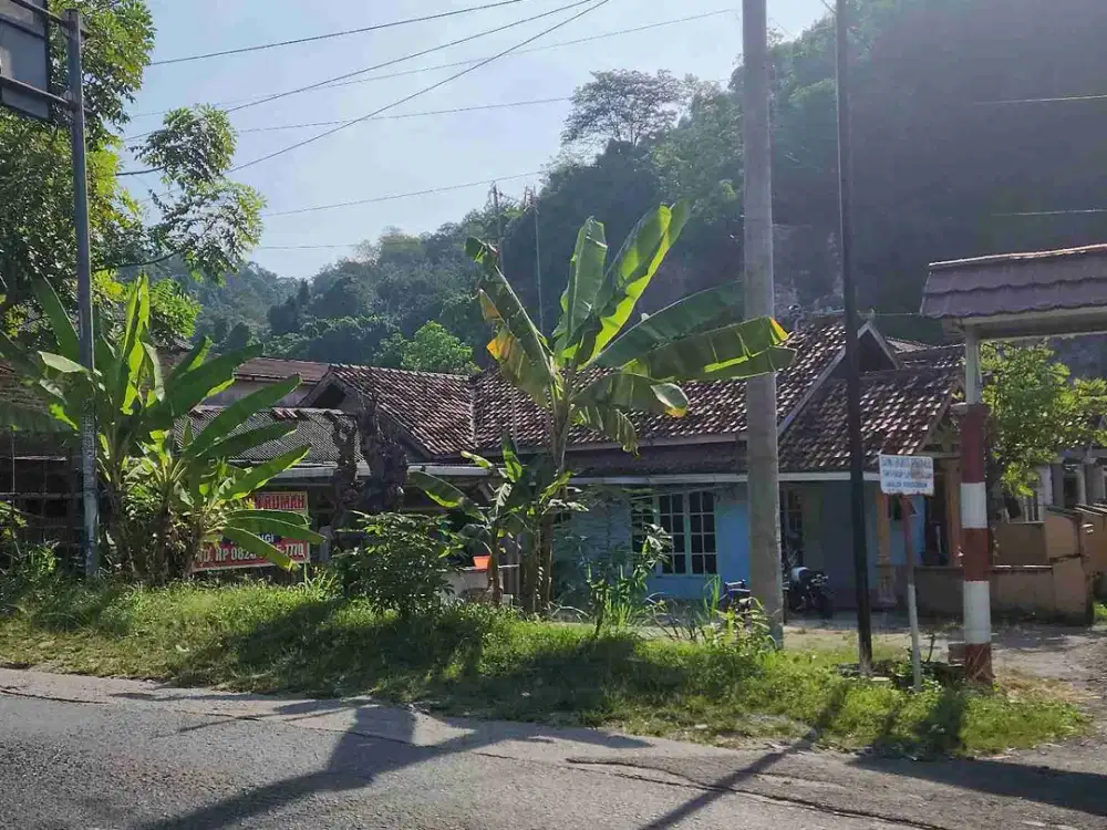 tanah teluk betung 344m bonus rumah pinggir jalan