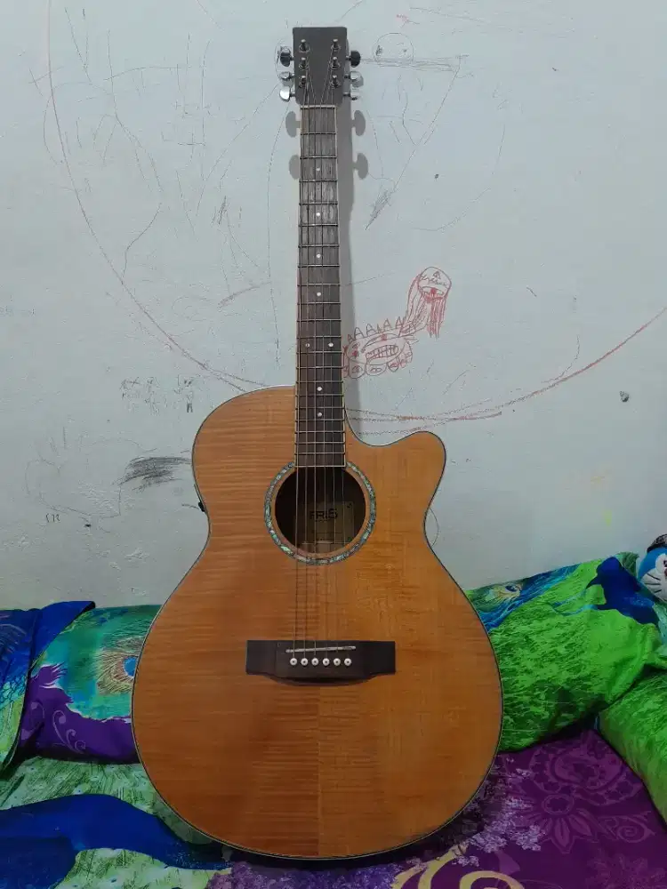 Gitar akustik elektrik Fri 5