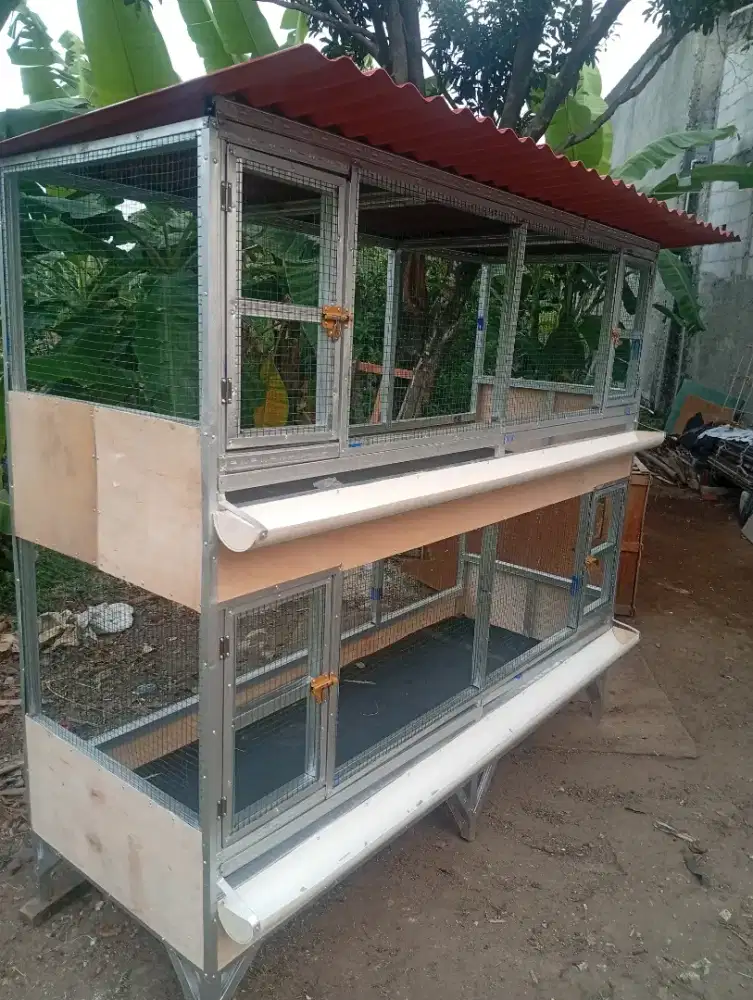 kandang aparten