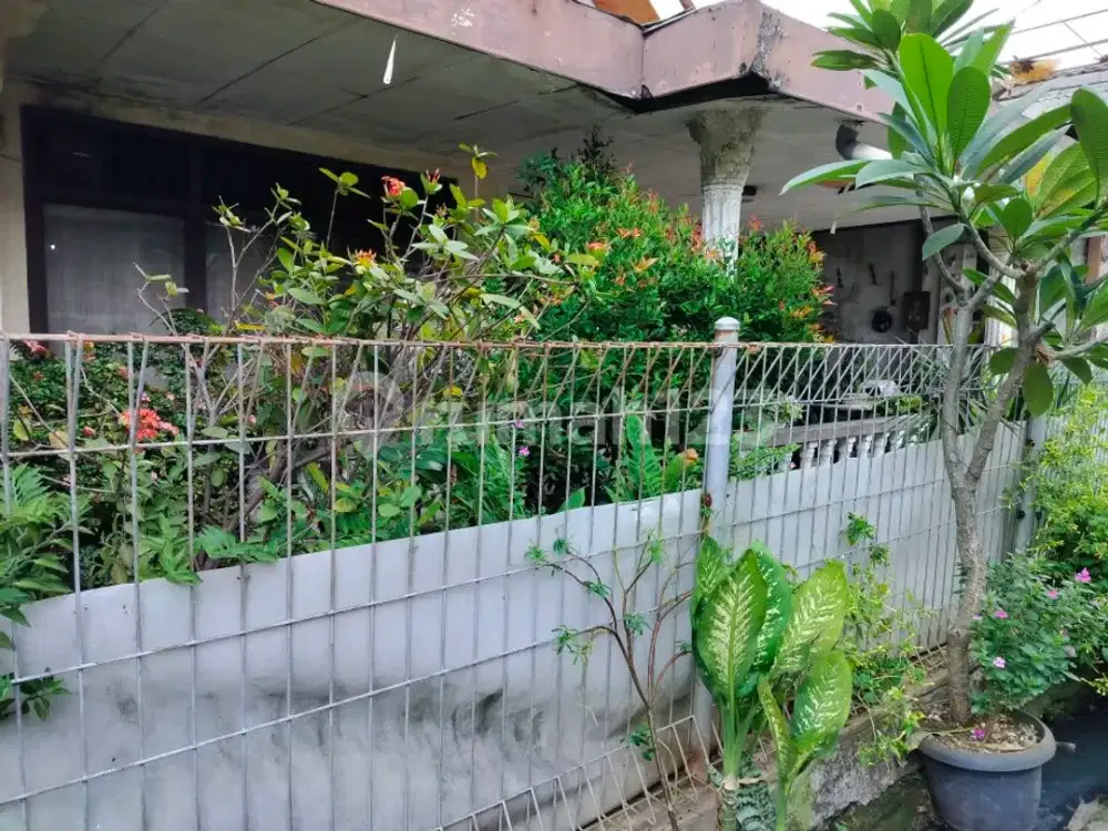 Rumah Lama 1 Lnt Lbr 11m Bisa Kost2an Dan Aman